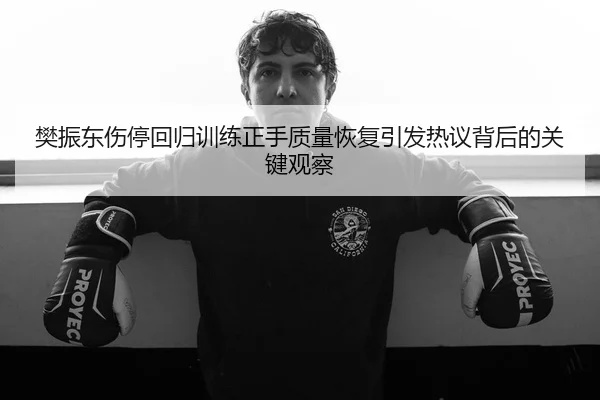 樊振东伤停回归训练正手质量恢复引发热议背后的关键观察